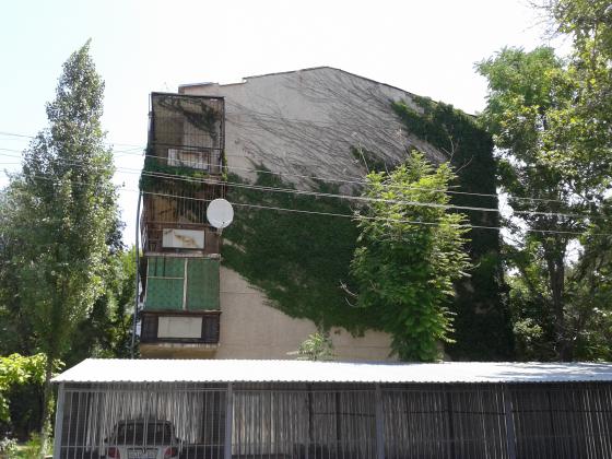 A shaggy house. Sapernaya street.