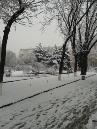Even in Tashkent can be winter.